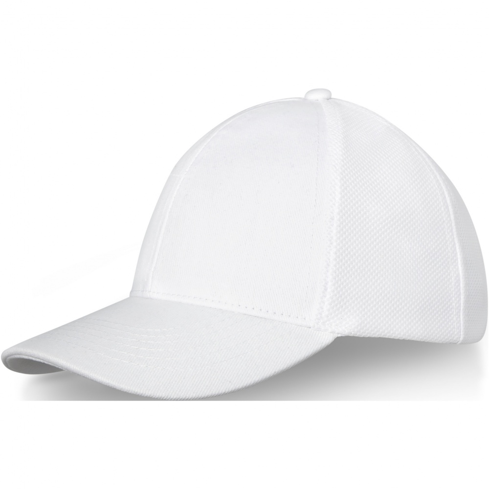 Logotrade werbemittel das Foto: Drake Trucker Kappe mit 6 Segmenten