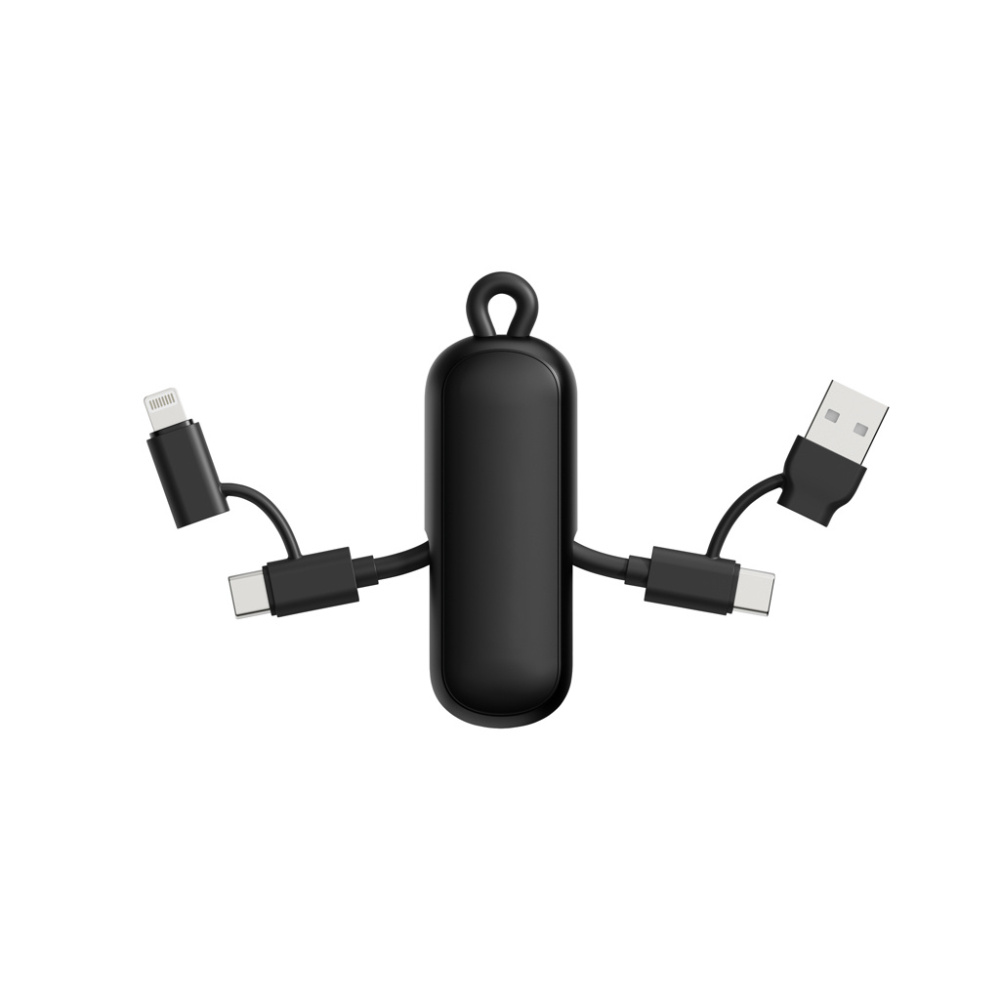 Logotrade Geschäftsgeschenke das Foto: Urban Vitamin Dublin 100W 4-in-1-Kabel am Schlüsselanhänger