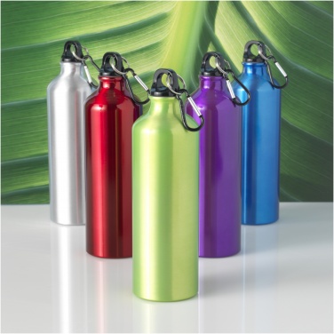 Logo trade advertising product photo of: Oregon 770 ml aluminium water bottle with carabiner