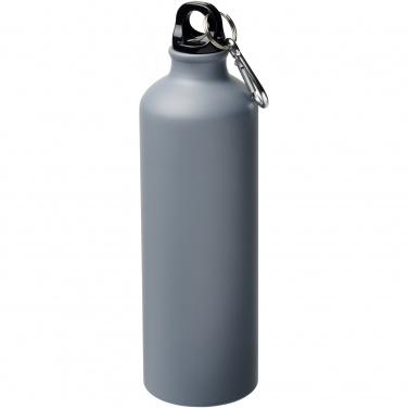 Logotrade promotional giveaway picture of: Oregon 770 ml matte water bottle with carabiner