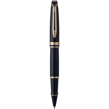 Logotrade promotional gift image of: Waterman Expert rollerball pen