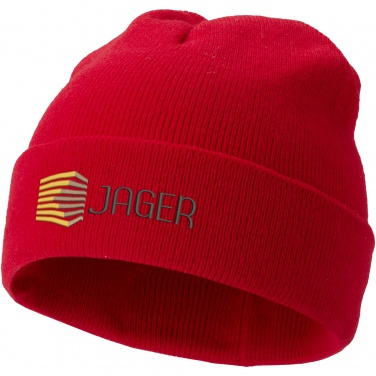 Logotrade promotional product image of: Irwin beanie