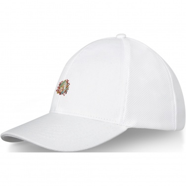 Logotrade business gift image of: Drake 6 panel trucker cap