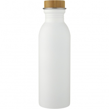 Logo trade promotional giveaway photo of: Kalix 650 ml stainless steel water bottle