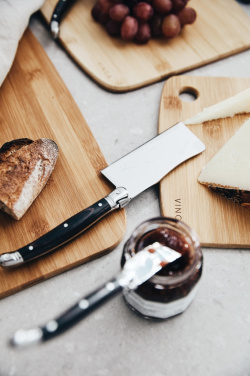 Logo trade promotional merchandise picture of: VINGA Gigaro cheese knives