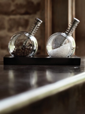 Logo trade business gift photo of: Planet pepper & salt set