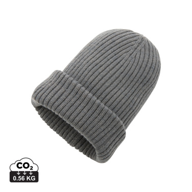 Logotrade promotional merchandise photo of: Impact AWARE™  Polylana® double knitted beanie