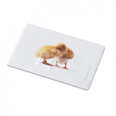 Logo trade promotional products picture of: Creditcard. USB flash 32GB