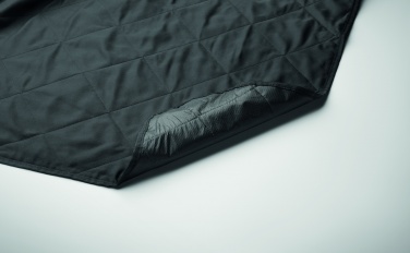 Logotrade promotional items photo of: Foldable picnic blanket