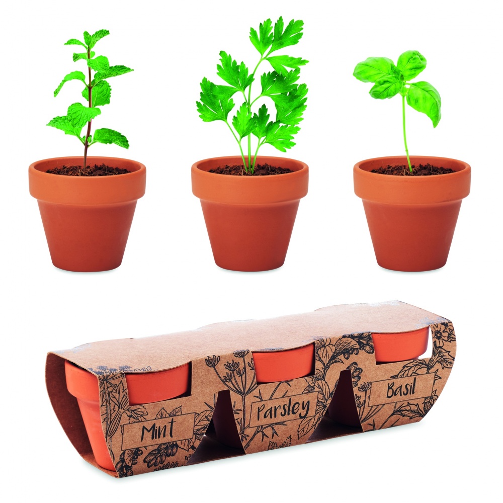 Logotrade promotional merchandise photo of: Terracotta 3 herb pot set