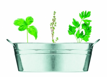 Logotrade advertising product image of: Zinc tub with 3 herbs seeds