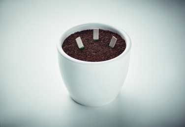 Logotrade business gift image of: Herb seeds sticks