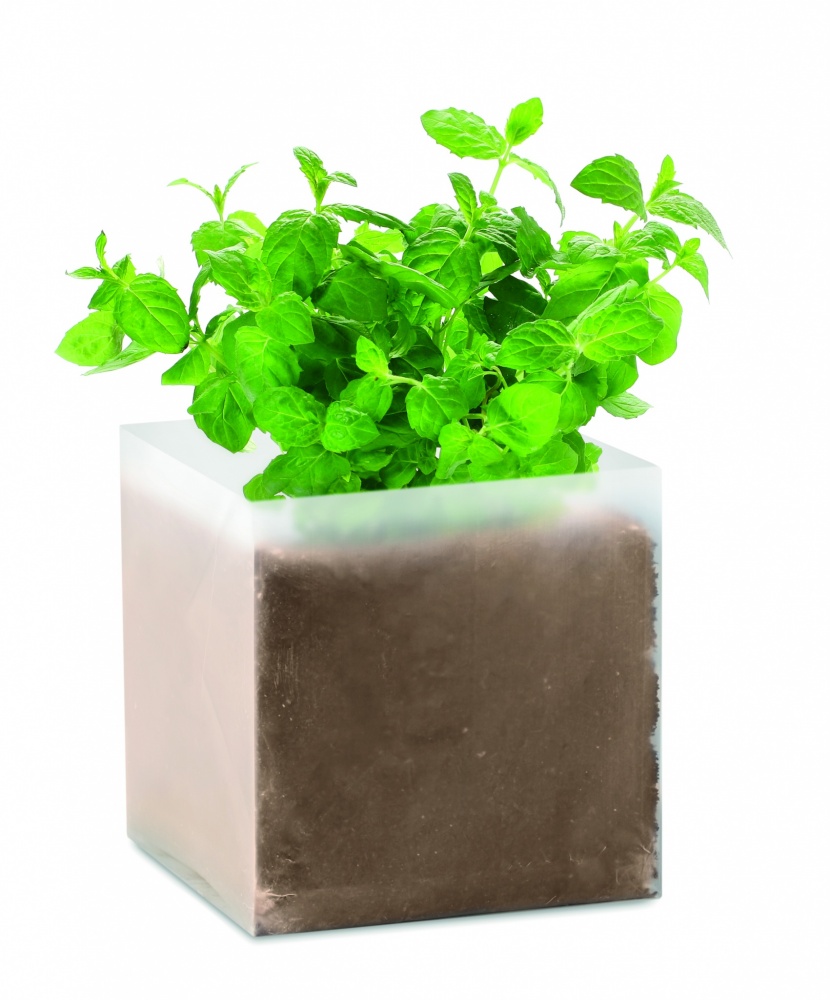 Logo trade promotional gift photo of: Compost with seeds "MINT"