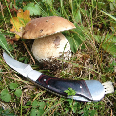 Logo trade advertising products picture of: Mushroom knife PILZ Schwarzwolf
