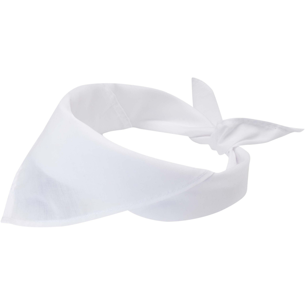 Logotrade advertising product picture of: Heracles bandana