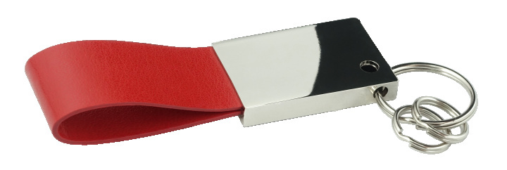 Logo trade promotional products image of: Keyring 909119