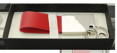 Logotrade promotional gift image of: Keyring 909119