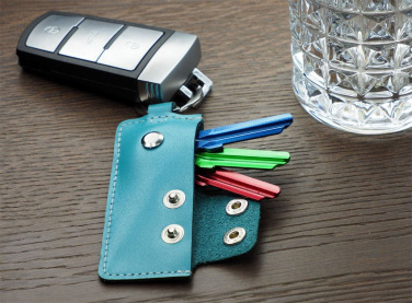 Logotrade promotional giveaway picture of: Keyring 1276131