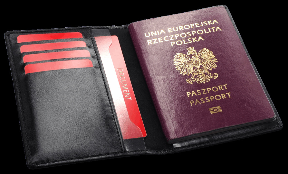 Logotrade promotional gift picture of: RFID passport case 1301131