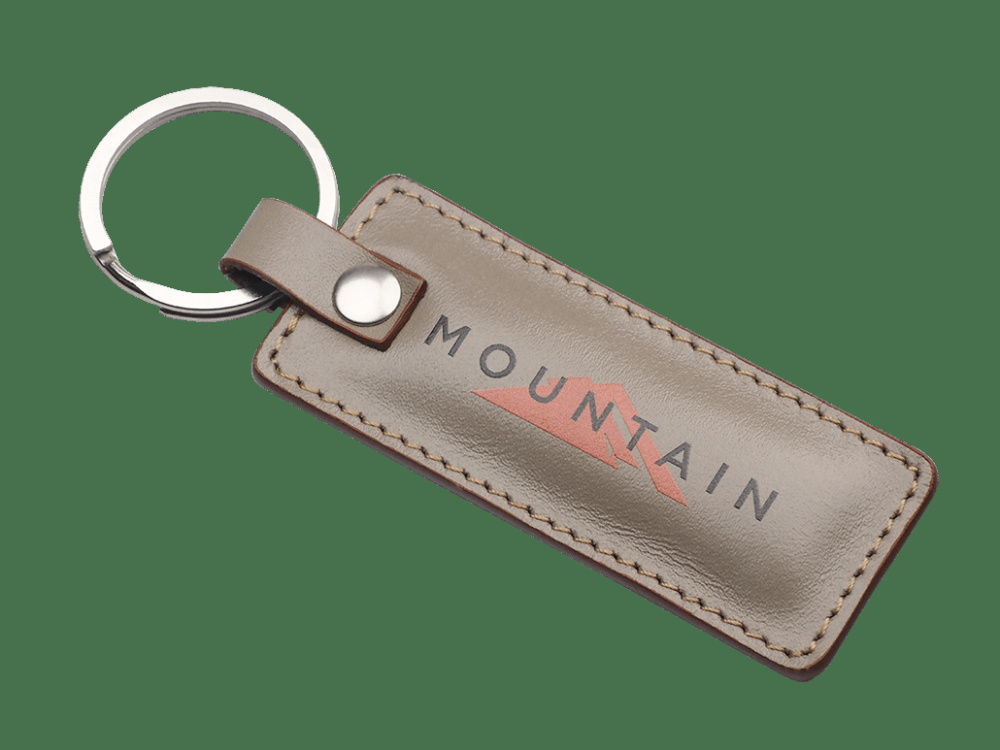 Logotrade promotional giveaway image of: Keyring 565131