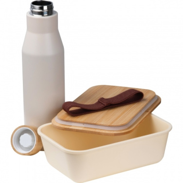 Logo trade business gifts image of: Set Lunchbox with stainless steel bottle Toronto