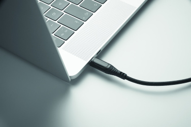 Logotrade business gifts photo of: 100W charging cable type-C