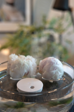 Logo trade promotional giveaways picture of: Breevia RCS rplasic re-chargeable floating humidifier