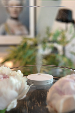 Logo trade promotional giveaways image of: Breevia RCS rplasic re-chargeable floating humidifier