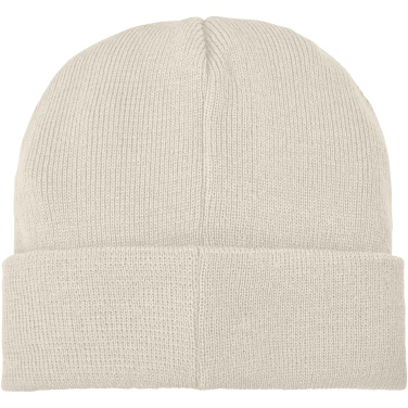 Logo trade promotional merchandise picture of: Boreas beanie with patch