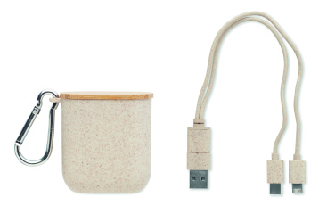 Logotrade promotional item image of: Cable set in case