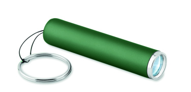 Logo trade promotional merchandise image of: Plastic light up logo torch