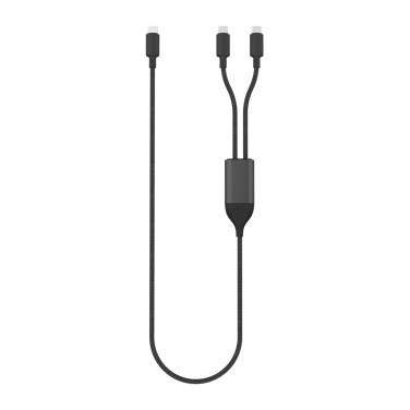Logotrade business gifts photo of: Terra 100W RCS Dual USB C output cable