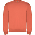Clasica unisex crewneck sweater, Corail