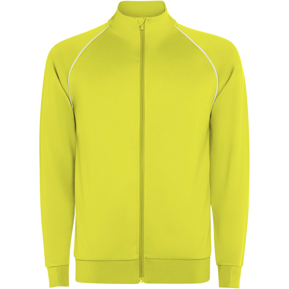 Logo trade promotional gifts picture of: Valier full zip men's sweatshirt