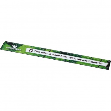 Logotrade meened pilt: Terran 30 cm joonlaud 100% taaskasutatud plastikust
