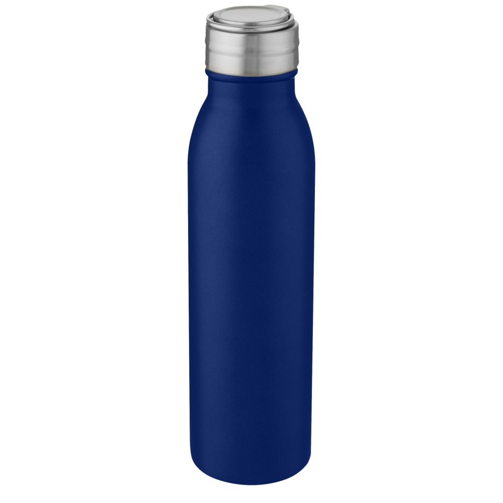 Logo trade reklaamkingi pilt: Harper 700 ml roostevabast terasest veepudel metallist aasaga