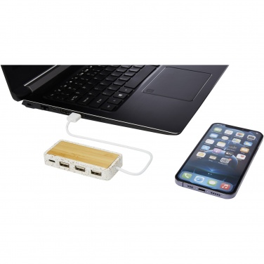 Logotrade reklaamtooted pilt: Terrazzo USB 2.0 jaotur