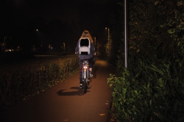 Logotrade meene foto: AWARE™ RPET Peegeldav sülearvuti seljakott