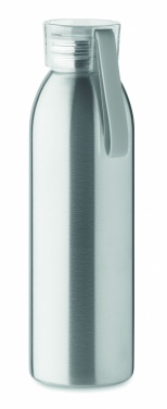 Logotrade firmakingituse foto: Roostevabast terasest pudel 650ml