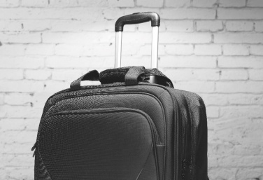 Logo trade ärikingid foto: Ärikäru