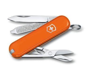 Logo trade reklaamkingi pilt: Taskunuga CLASSIC SD Victorinox