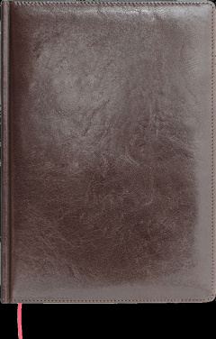 Logotrade reklaamkingitused pilt: Kalendermärkmik 642131