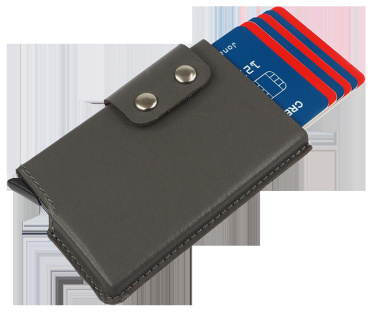 Logo trade reklaamkingituse pilt: RFID kaarditasku 545131