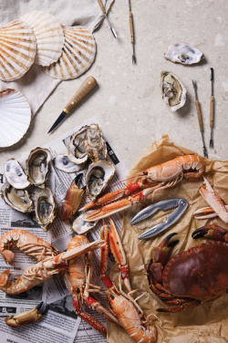 Logo trade firmakingid foto: VINGA "Story of Seafood" mereannikomplekt