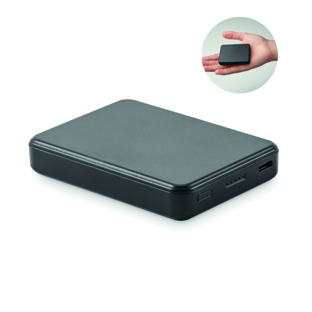 Logotrade firmakingi foto: KLEINPOW 5000 mAh akupank