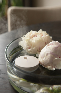 Logo trade ärikingituse pilt: Breevia RCS plastikust laetav ujuv õhuniisutaja