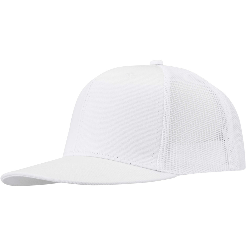 Logotrade ärikingituse foto: Drift Snapback 260 g/m2 6 paneeliga nokamüts