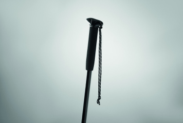 Лого трейд pекламные cувениры фото: Telescopic walking pole